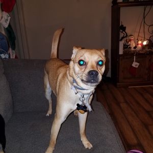 Meet your Posher, Wayne